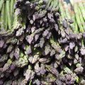 Asparagus